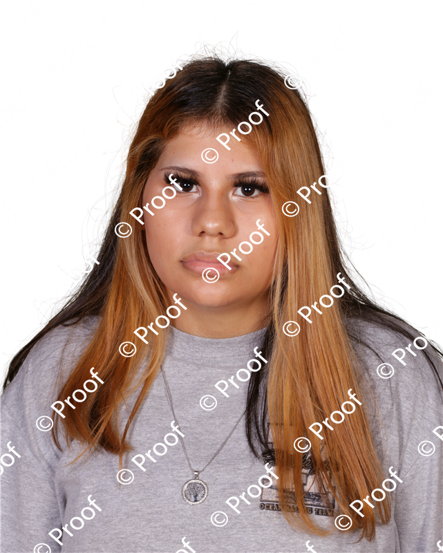 Cady Studios Gallery